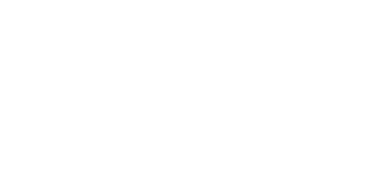 logo balipartisi