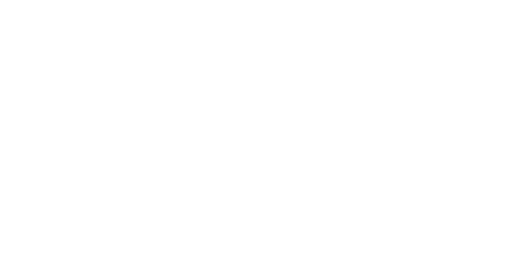 logo balisticker
