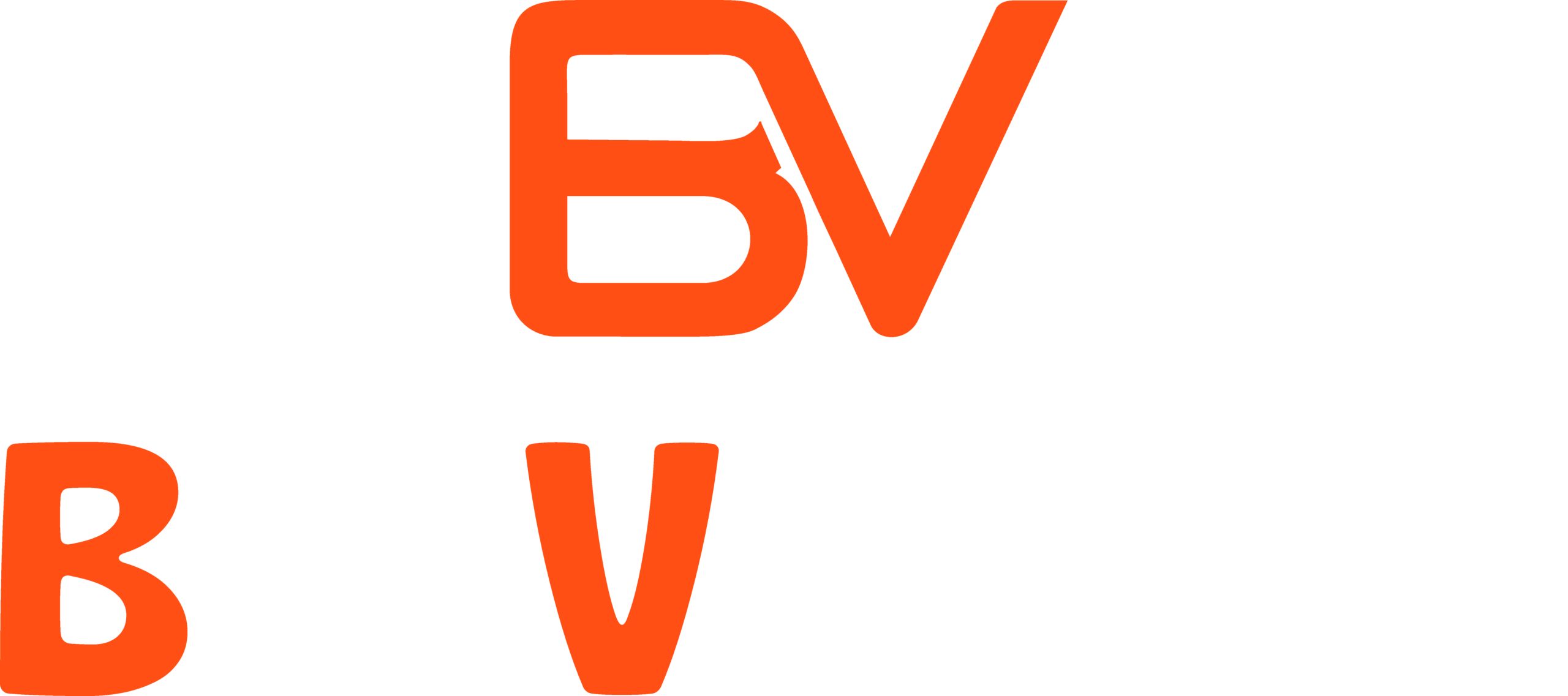 logo balivendor