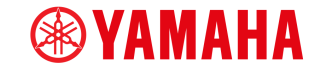 partner yamaha